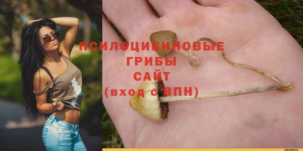 дживик Алексин