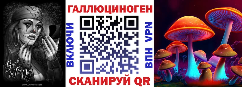 купить наркотики цена  Гурьевск  Галлюциногенные грибы Psilocybe 